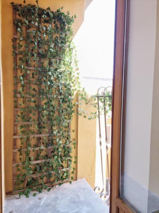 Apartmán T2 Clim & Confort - Gare Matabiau - Metro - Wifi Toulouse Exteriér fotografie